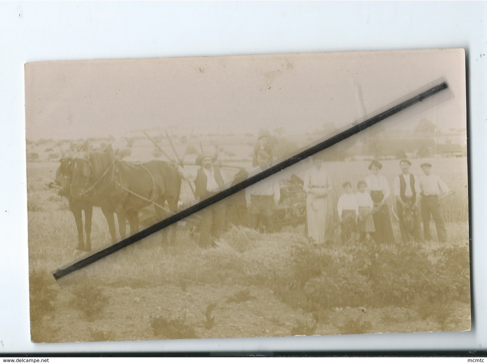 Carte Photo Très Pale - Scènes Agricole - Battages , Chevaux , Travaux Des Champs (correspondance Chateauneuf ) - Otros & Sin Clasificación