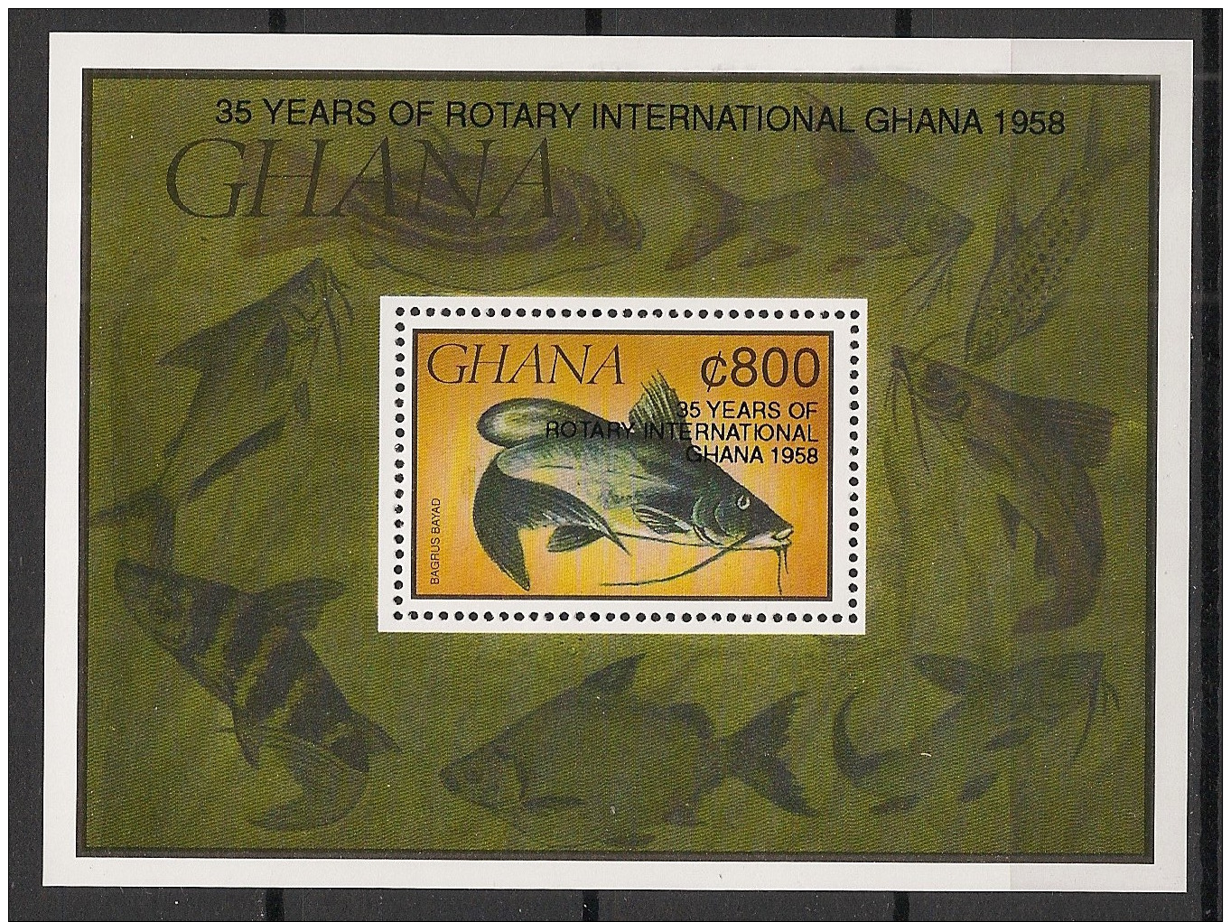 Ghana - 1993 - Bloc Feuillet BF N°Yv. 222 - Poissons / Rotary - Neuf Luxe ** / MNH / Postfrisch - Ghana (1957-...)