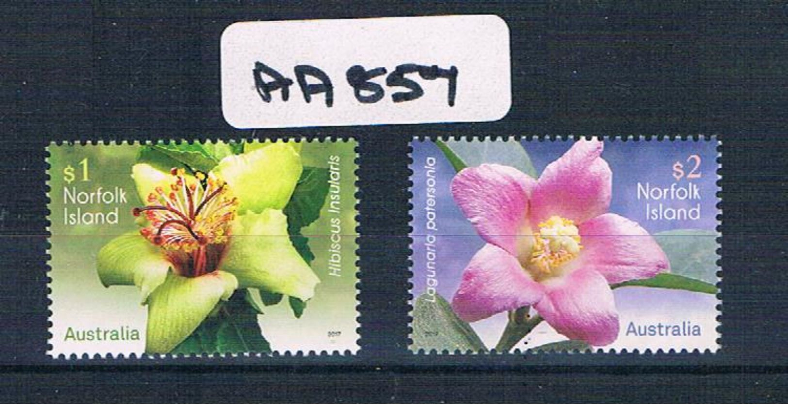 Australia 2017 Norfolk Isl Flower's 2val Sheet Muh AA857 - Nuovi