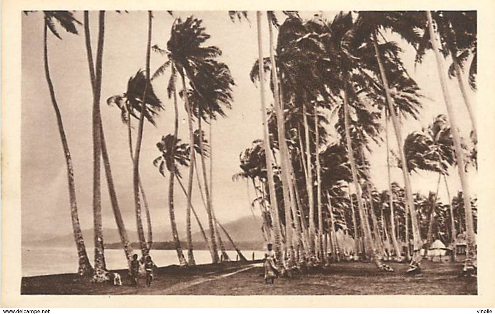 A-17-8749 :  SAMOA - Samoa Américaine