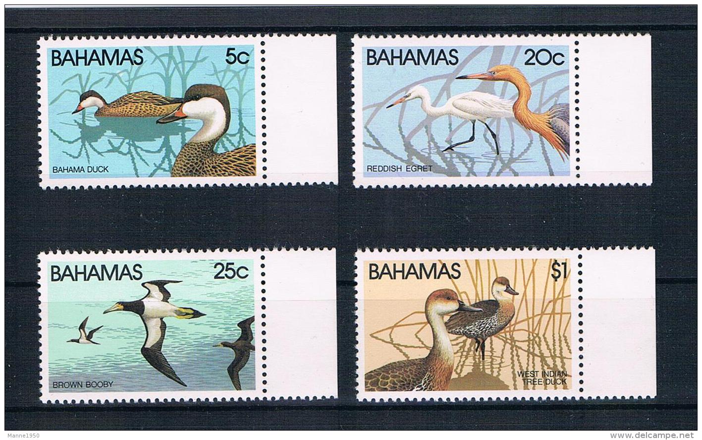 Bahamas 1981 Vögel Mi.Nr. 482/85 Kpl. Satz ** - Bahamas (1973-...)