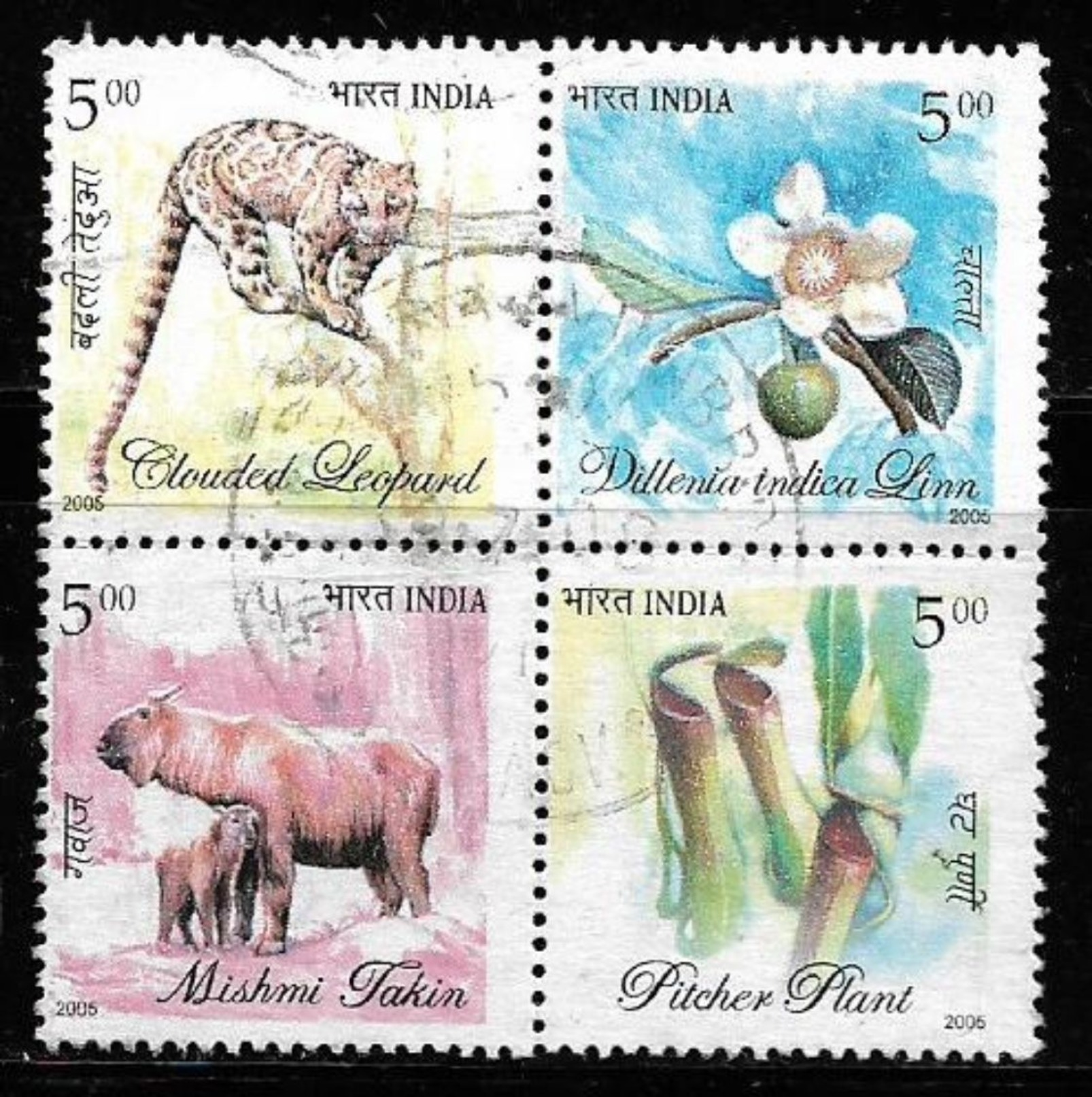 India 2005 Flora & Fauna Of North East India Clouded Leopard, Chalta, Mishmi Takin, Pitcher Plant 4V Used Stamps # A:128 - Used Stamps