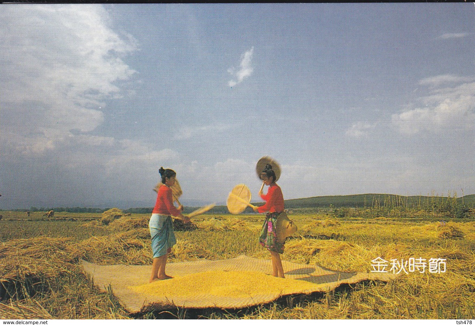 ASIE--CHINE-CHINA--the Rhythm Of The Harvest--shao Yu--voir 2 Scans - Chine
