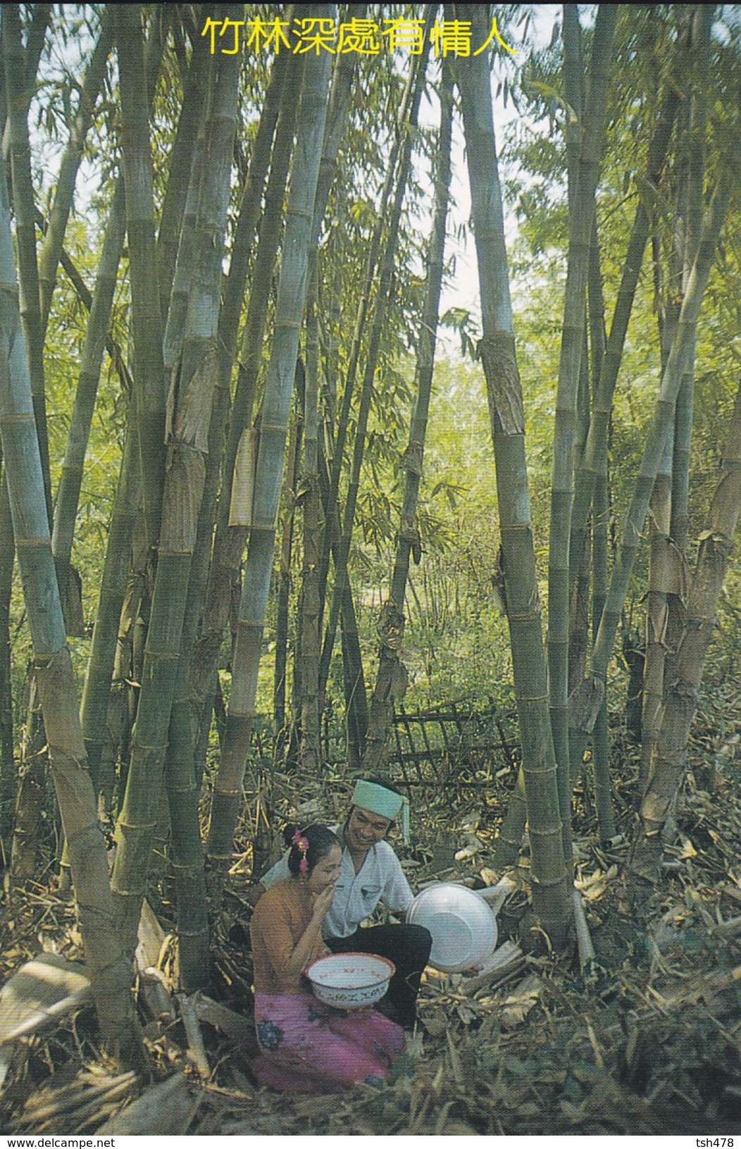 ASIE--CHINE-CHINA--under The Bernteal Hedge Bamboo--zhang Guo Hua--voir 2 Scans - Chine