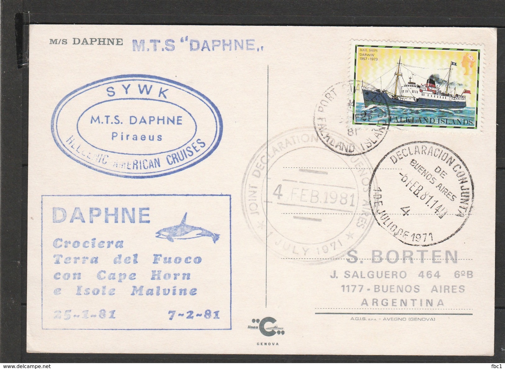 Falkland Islands - Postcard M/S Daphne  - Port Stanley 1981 - Malvine - Falkland