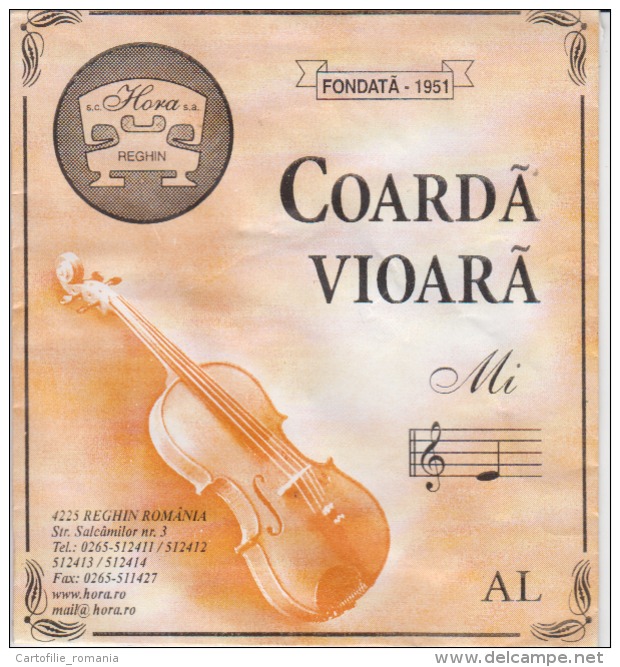Romania Reghin Violin Strings Envelope Label Empty - Toebehoren En Hoezen
