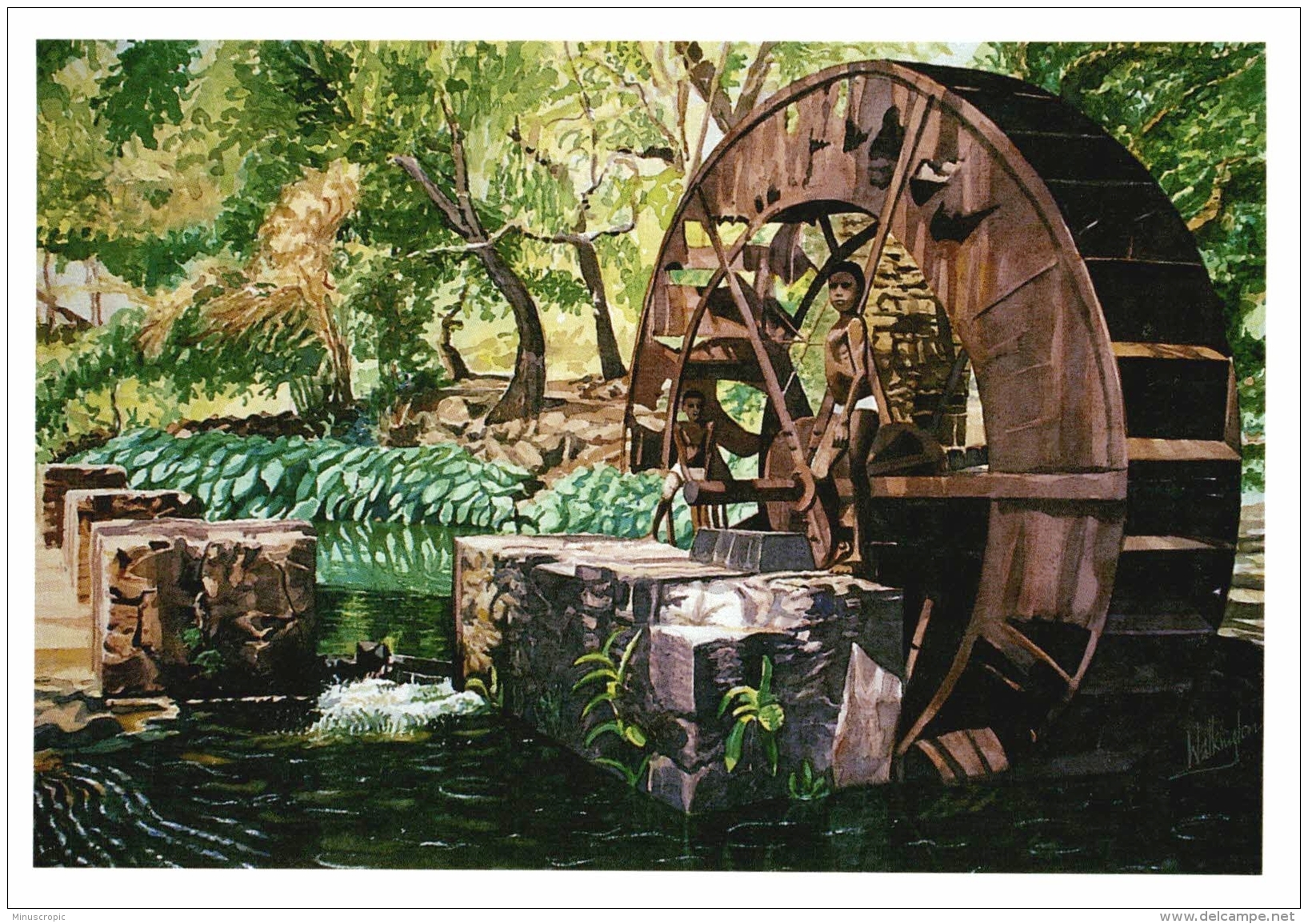 CPM Ile De La Réunion - La Roue Marmaille - Saint Paul - Aquarelle De Walkington - Réunion