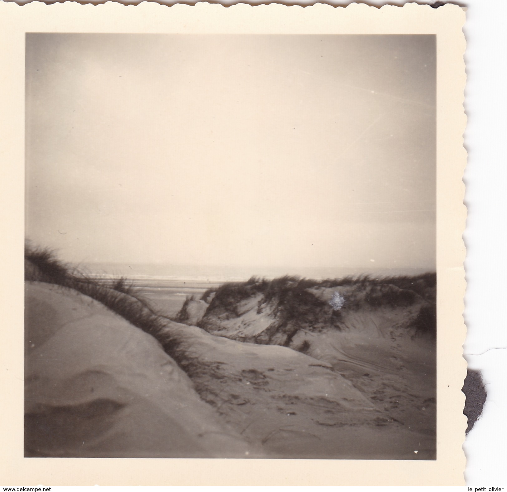 PHOTO ORIGINALE 39 / 45 WW2 WEHRMACHT FRANCE COUTAINVILLE VUE SUR LA PLAGE LES DUNES - Guerre, Militaire