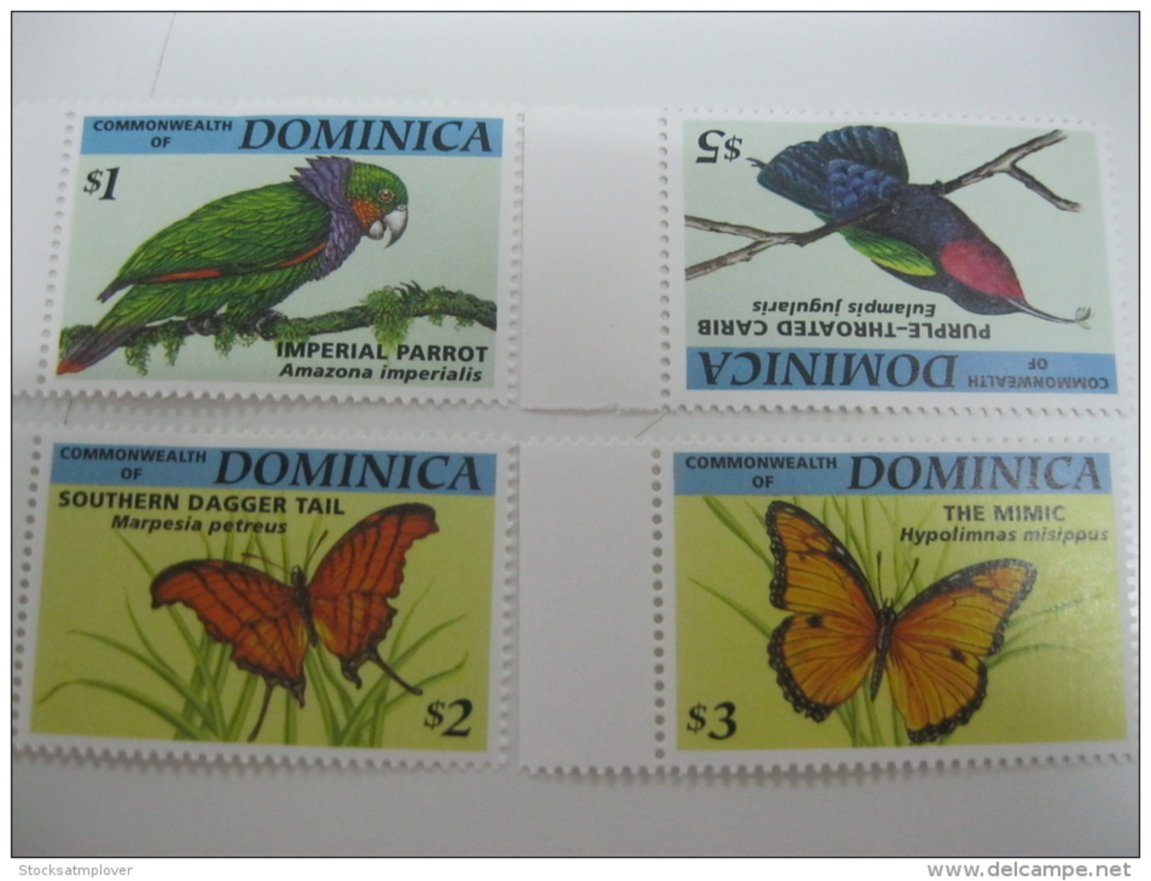 Dominica-Butterflies Orchids - Schmetterlinge