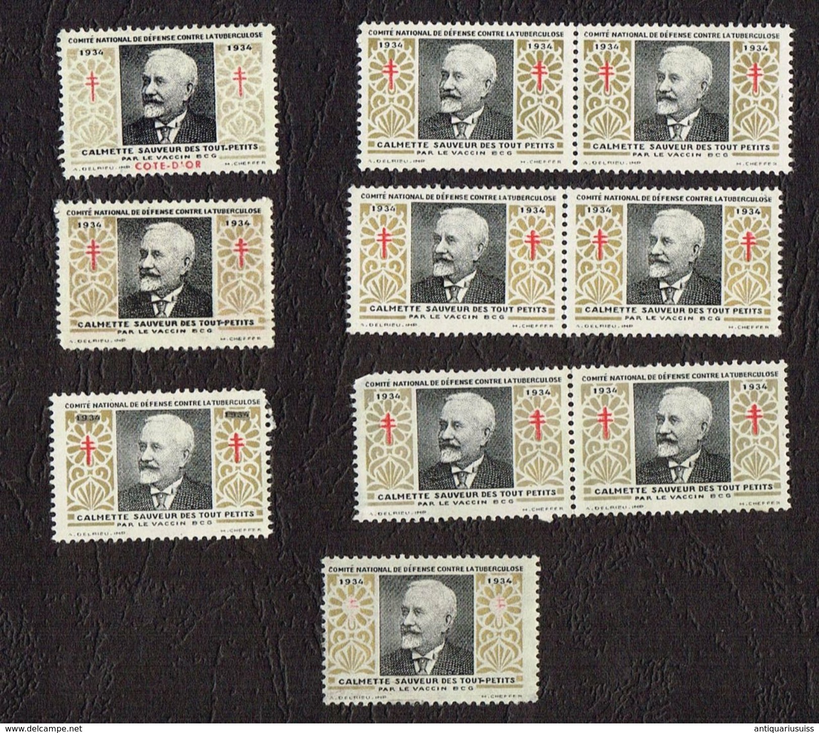 53x Stamps - VIGNETTES CONTRE LA TUBERCULOSE - TIMBRES DE FRANCE - Erinnophilie