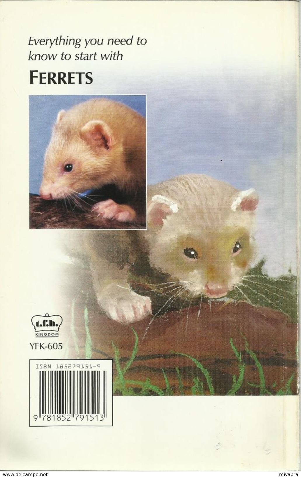 YOUR FIRST FERRET - COLIN JEAL - 1999 ( FRET FURET FRETTCHEN ) - Animaux