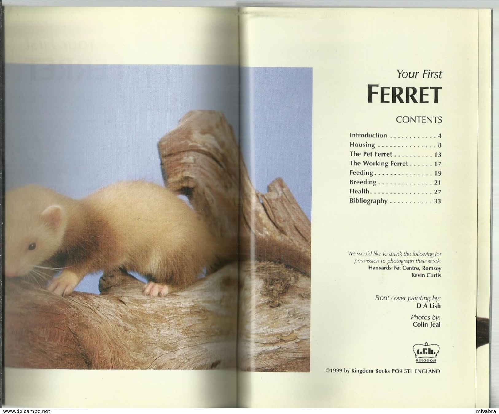 YOUR FIRST FERRET - COLIN JEAL - 1999 ( FRET FURET FRETTCHEN ) - Pet/ Animal Care