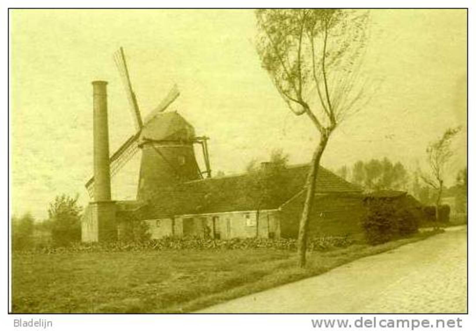 ZELE (O.Vl.) - Molen/moulin - Zeldzame Opname: De Gewezen Rosseelsmolen Tijdens 1914-1918, Met Wieken, Schoorsteen E.d. - Zele