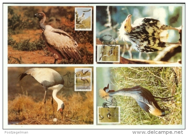 TRANSKEI, 1991, Mint Maxi Cards, Endangered Birds, Mi 106-109 - Transkei