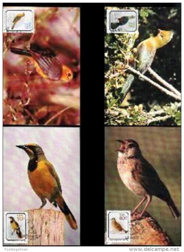 RSA, 1990, Mint Maxi Cards, MI Nr. 103-106, Birds - Brieven En Documenten