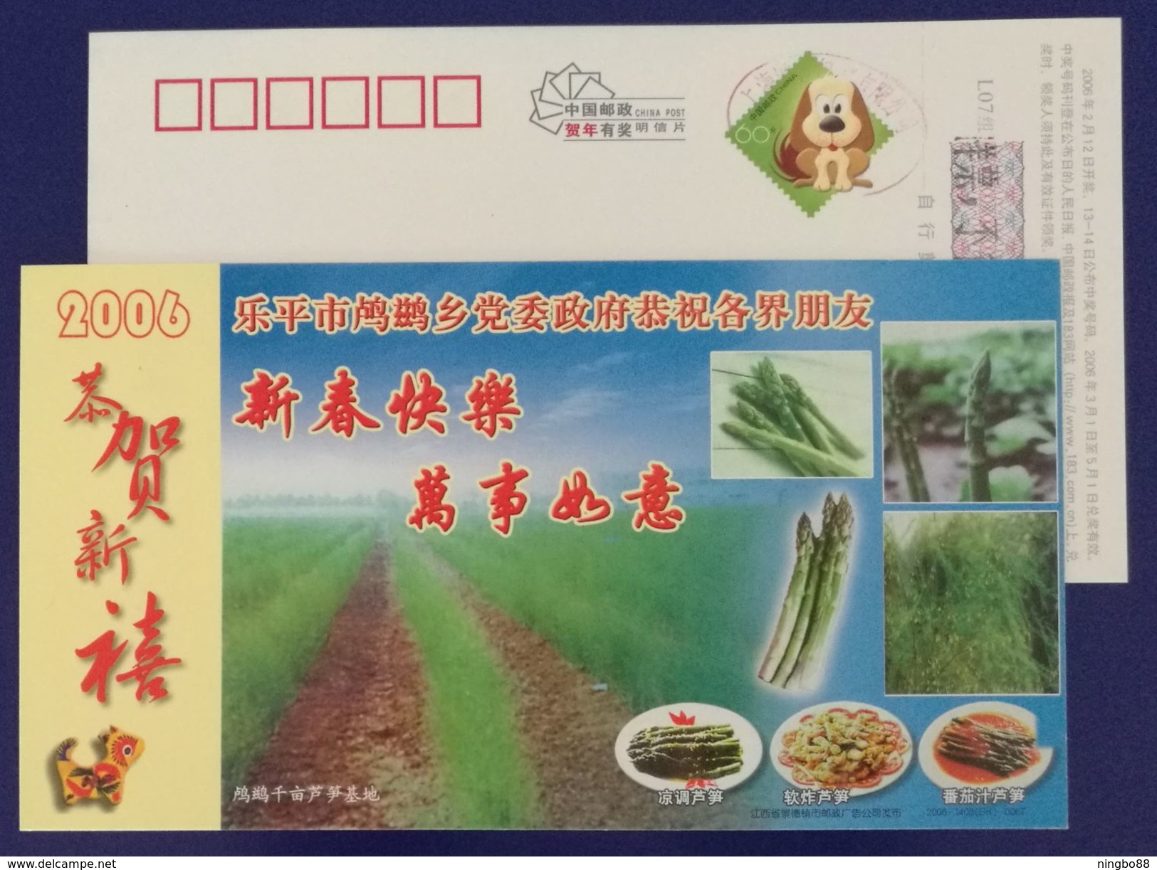 Tomato Ketchup Asparagus Officinalis Dish,China 2006 Leping Green Asparagus Planting Base Advertising Pre-stamped Card - Vegetables