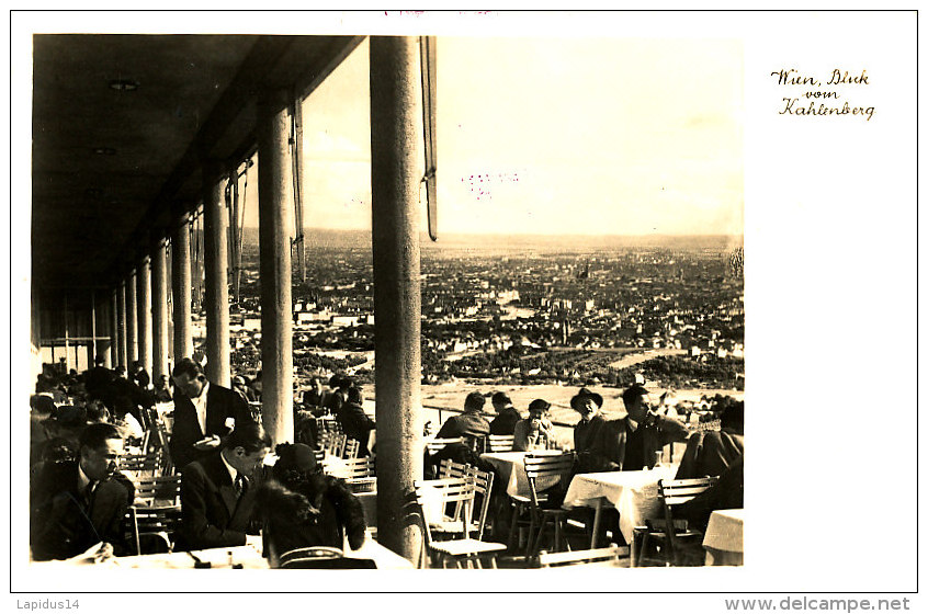 AG 631 / C P A- AUTRICHE - WIEN  BLICK VOM KAHLENBERG - Kapfenberg