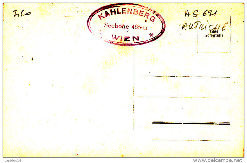 AG 631 / C P A- AUTRICHE - WIEN  BLICK VOM KAHLENBERG - Kapfenberg