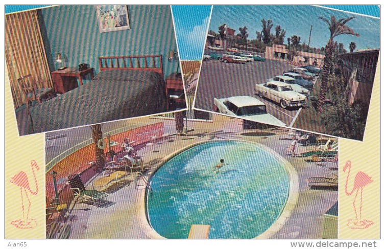 Phoenix Arizona, Flamingo Hotel, Lodging Auto, Room Interior View, C1950s Vintage Postcard - Phoenix