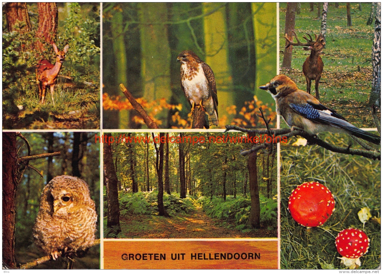 Groeten Uit Â… - Hellendoorn - Hellendoorn