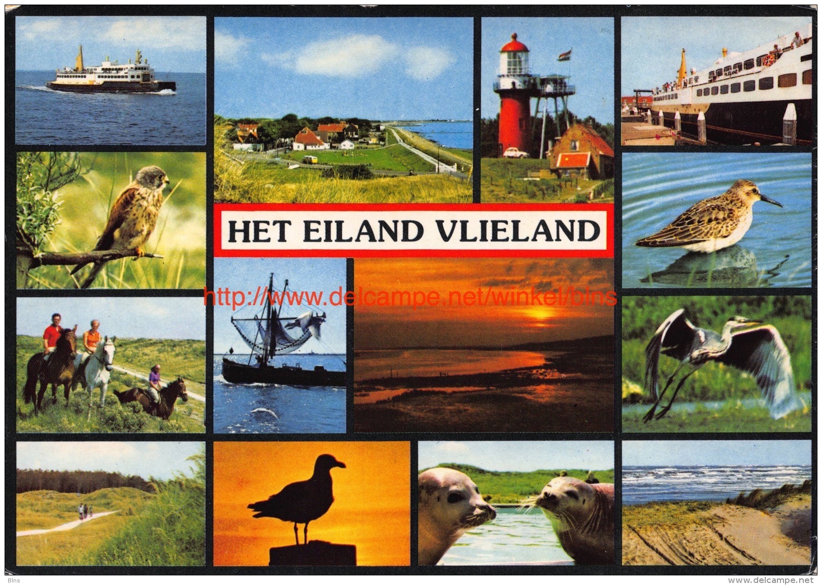 Vlieland - Vlieland
