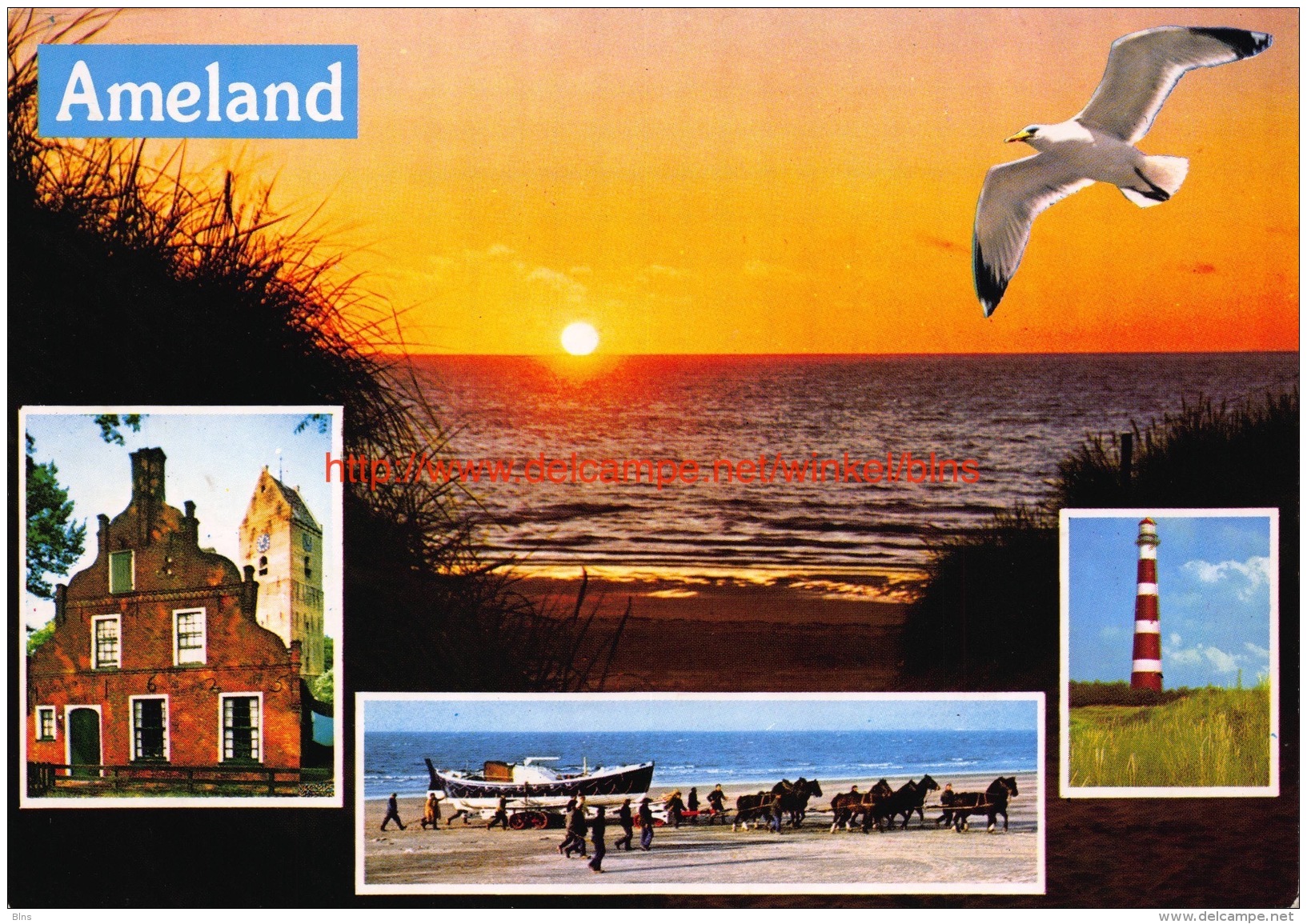 Ameland - Ameland