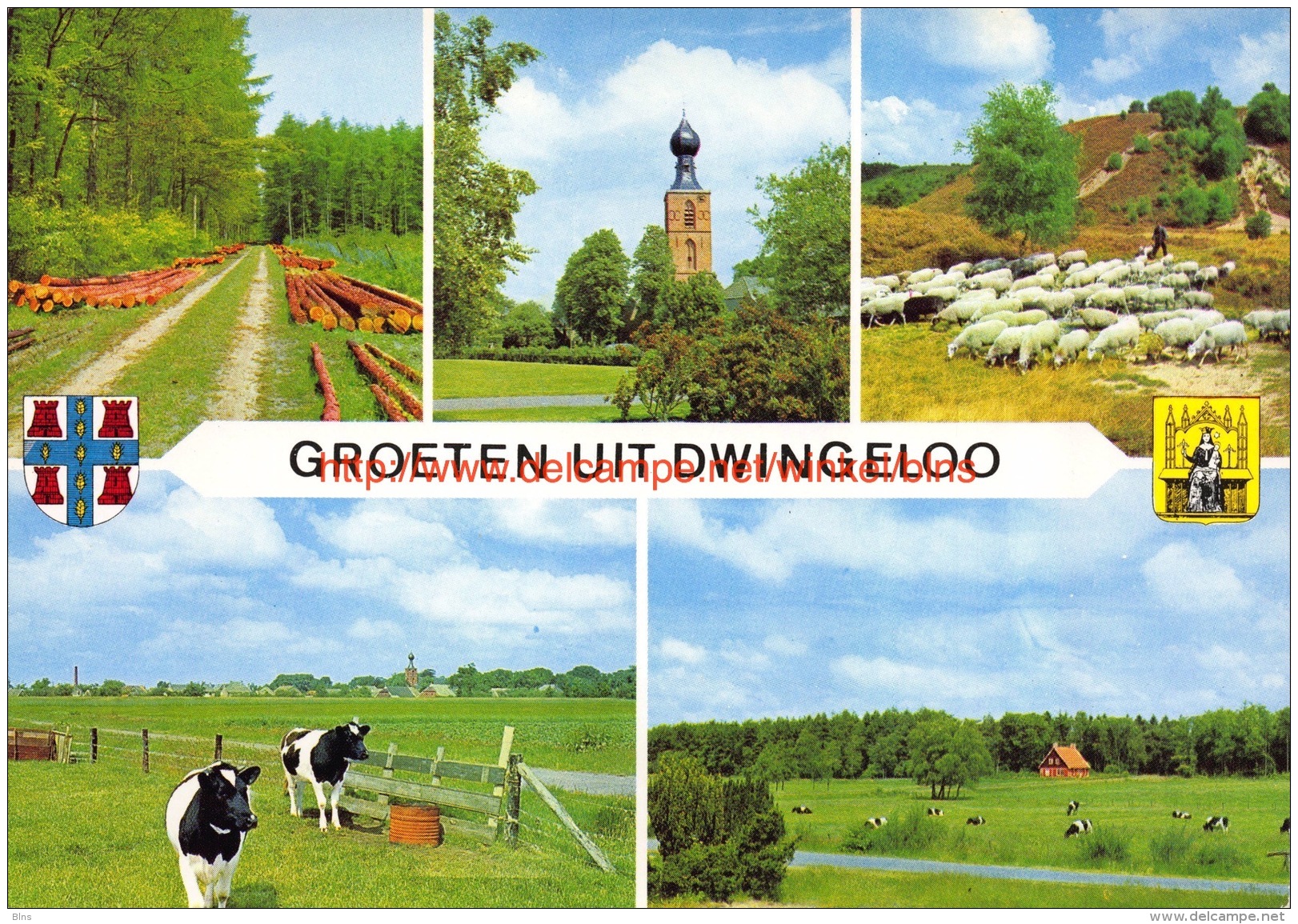 Groeten Uit Â… - Dwingeloo - Dwingeloo