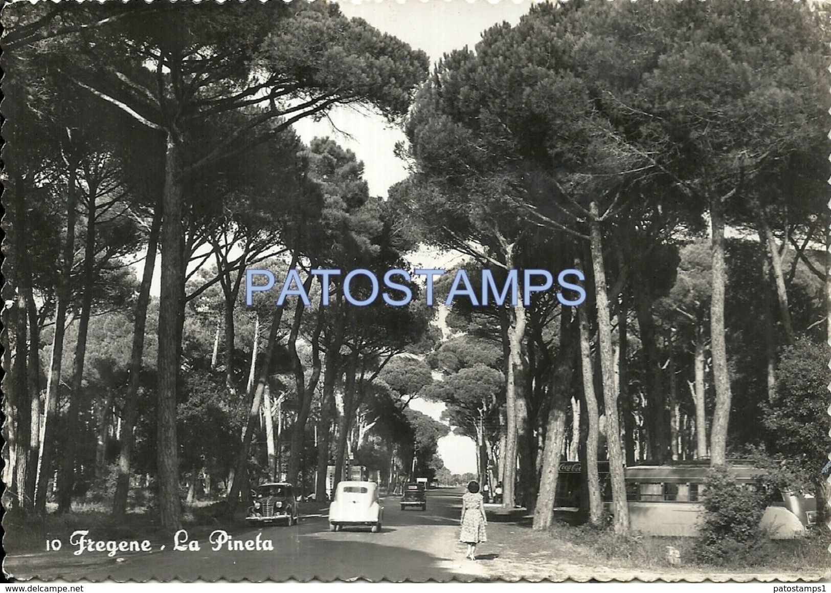 76498 ITALY FREGENE PINE FOREST CIRCULATED TO ROMA POSTAL POSTCARD - Altri & Non Classificati