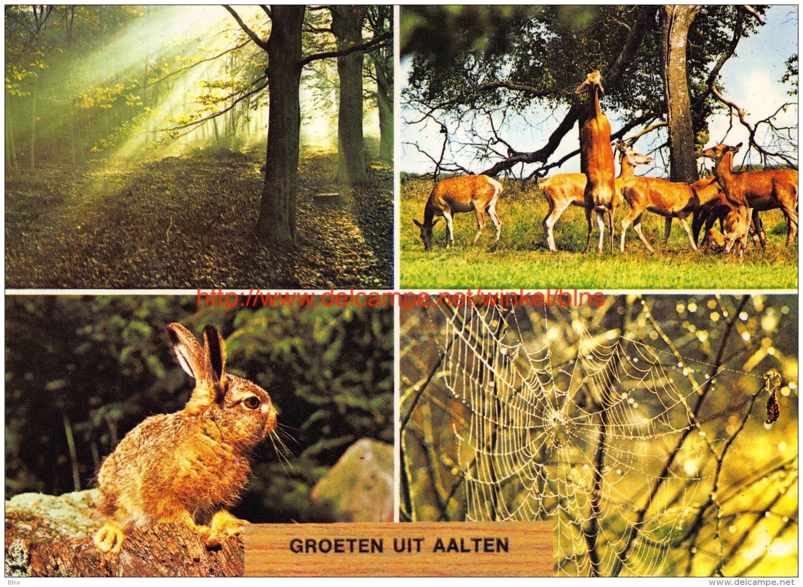 Groeten Uit Â… - Aalten - Aalten