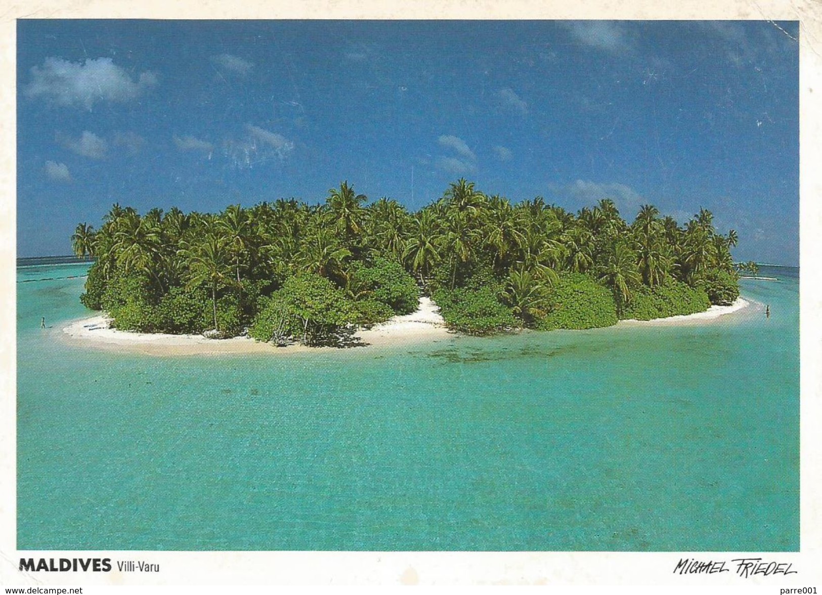 Maldives 1995 Male Roseate Tern (Sterna Dougallii) Bird Viewcard - Maldiven (1965-...)