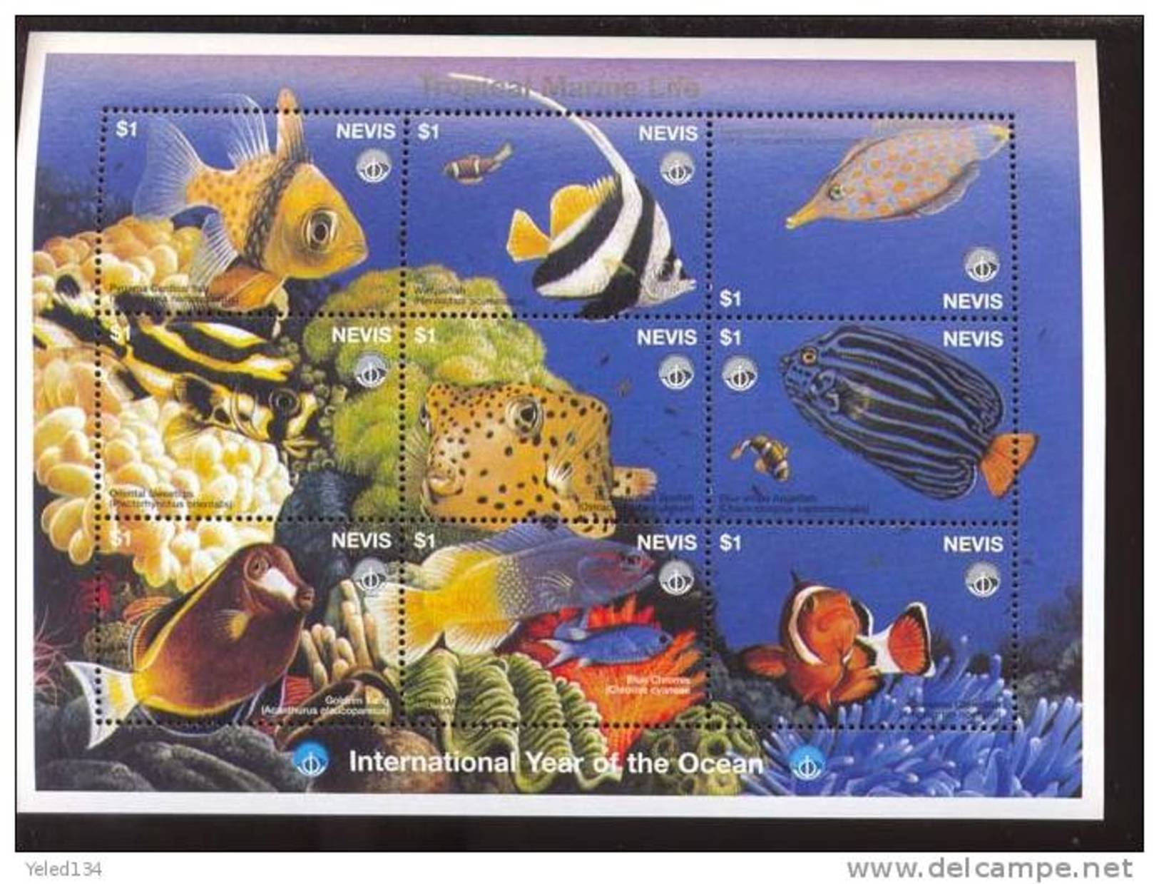 NEVIS   1093 MINT NEVER HINGED MINI SHEET OF FISH-MARINE LIFE - Marine Life