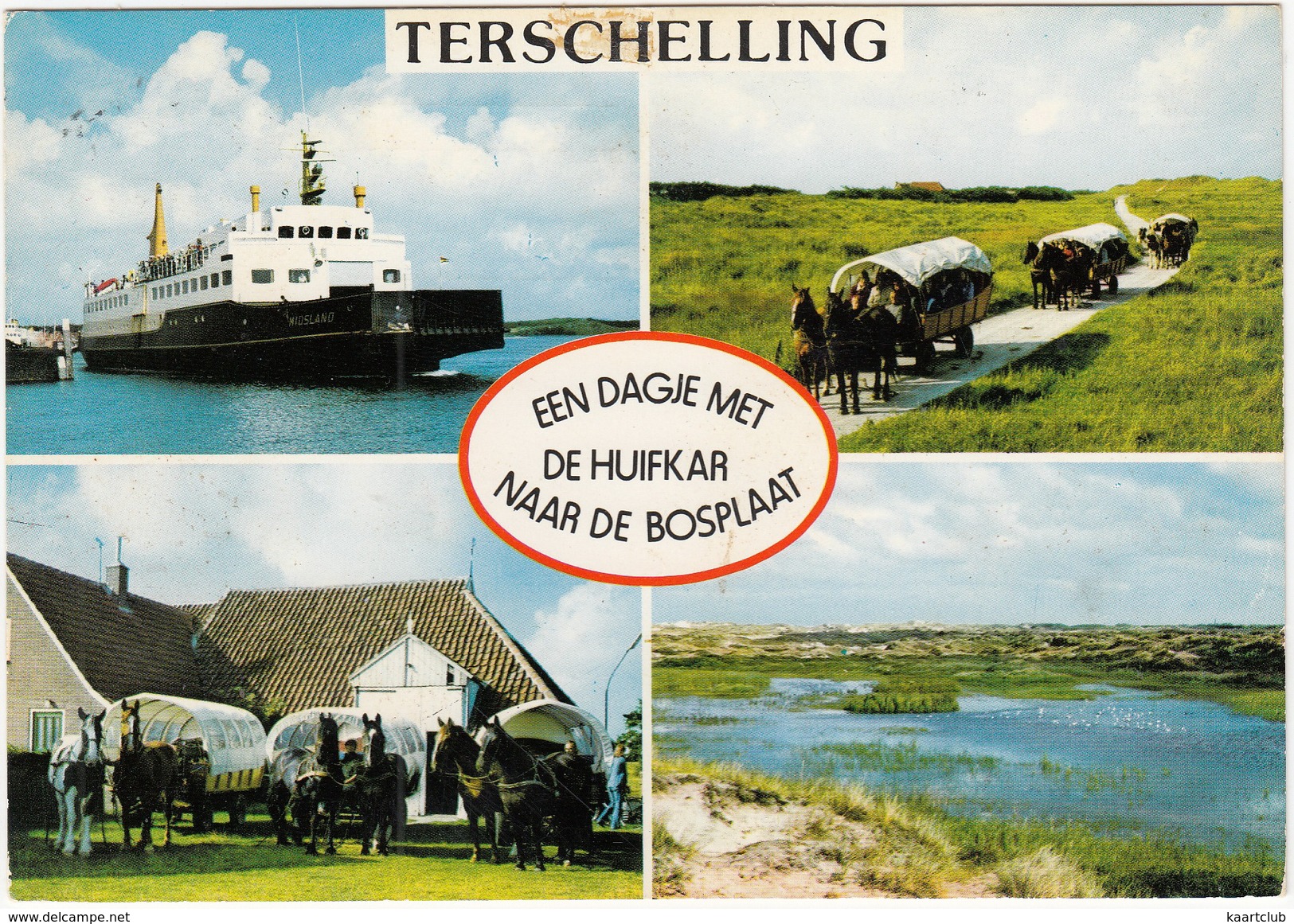 Terschelling - Een Dagje Met De Huifkar Naar De Bosplaat  - Veerboot/Ferry -  (Nederland/Holland) - Terschelling