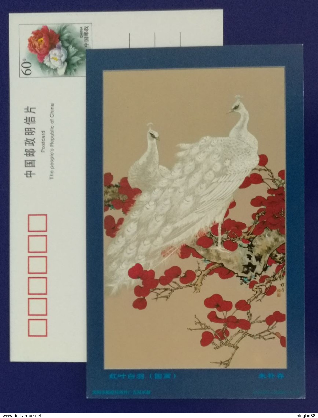 White Peacock,China 2000 Flower & Bird Chinese Painting Postal Stationery Card - Paons