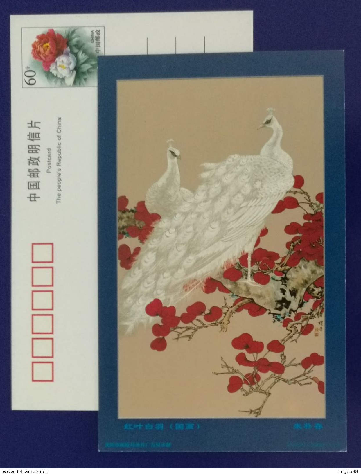 White Peacock,China 2000 Flower & Bird Chinese Painting Postal Stationery Card - Pfauen