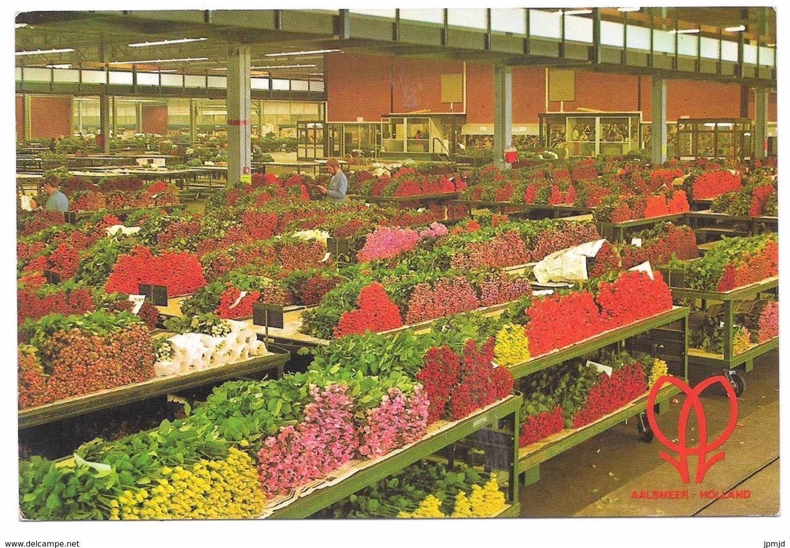 AALSMEER - Cutflower Section United Markets Aalsmeer - Snijbloemenafdeling Der Verenigde Bloemenveilingen - Ecc 2501 - Aalsmeer