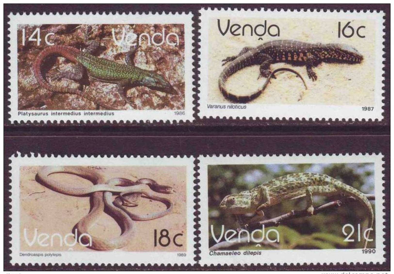 D90819 Venda South Africa 1986-90 ADD VALUES  REPTILES CHAMELEON  SNAKES LIZARD MNH - Afrique Du Sud Afrika RSA Sudafrik - Venda