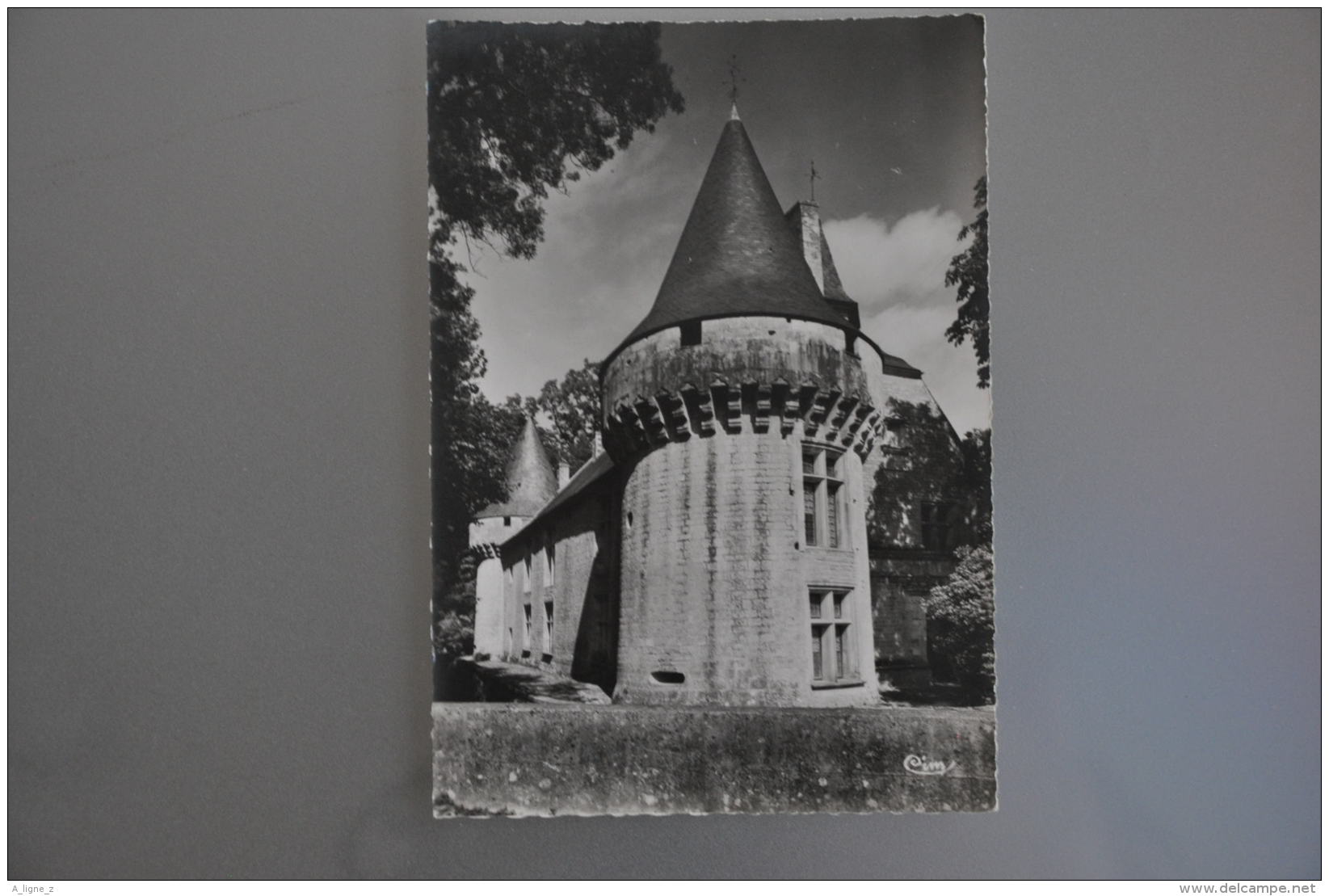 REF 304  : CPSM 17 DAMPIERRE SUR BOUTONNE La Tour Du Chateau - Dampierre-sur-Boutonne