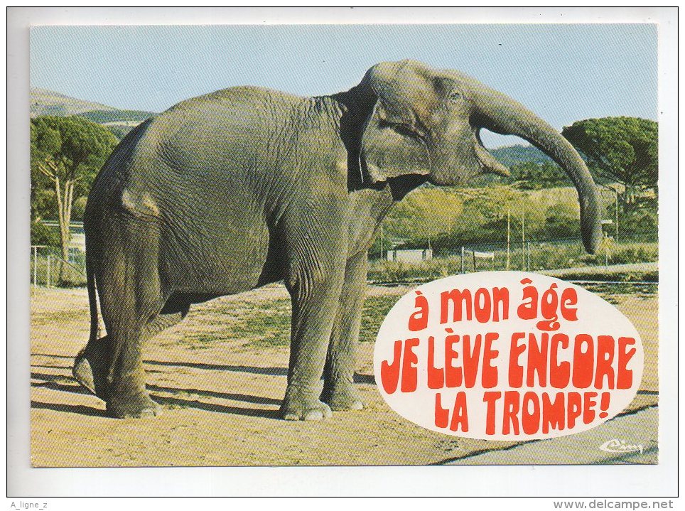 REF 288  : CPSM Carte Fantaisie Animaux : ELEPHANT - Éléphants