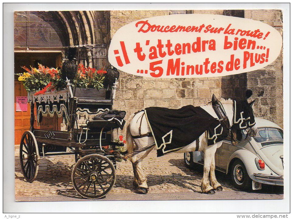 REF 288  : CPSM Carte Fantaisie Animaux : Cheval Attelage Corbillard Volkswagen Beetle Cox - Éléphants