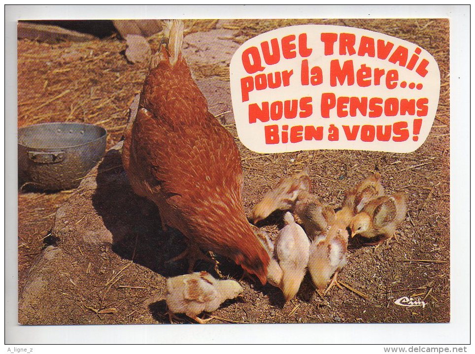 REF 288  : CPSM Carte Fantaisie Animaux : Poule Poulet - Éléphants