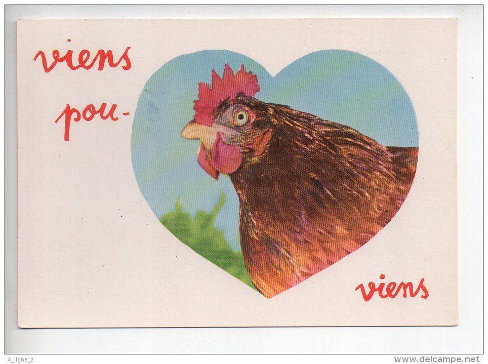 REF 288  : CPSM Carte Fantaisie Animaux : Poule Poulet - Éléphants