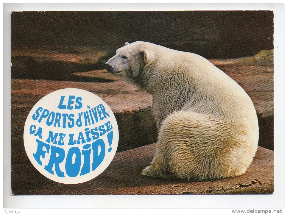 REF 288  : CPSM Carte Fantaisie Animaux : Ours Blanc - Éléphants