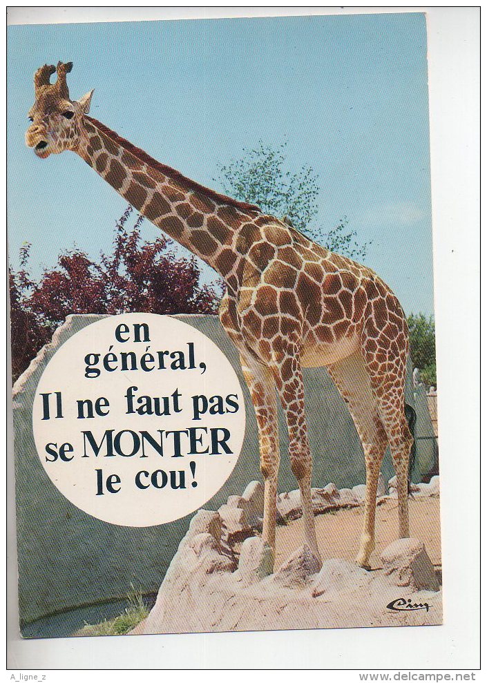 REF 286  : CPSM Animaux Theme GIRAFE - Zèbres