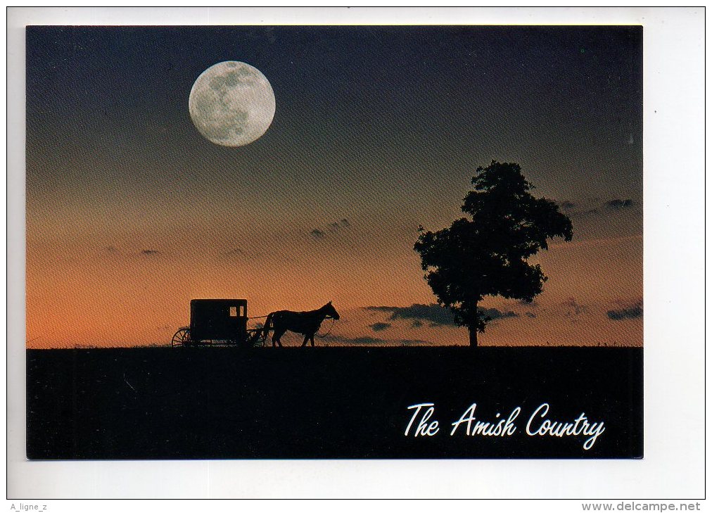 REF 289  : CPM U.S.A. Amish Country Greetings - Autres & Non Classés