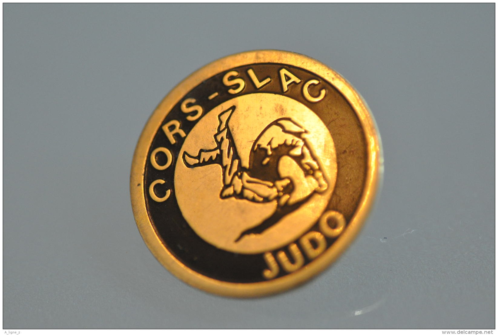 REF M5  : Pin's Pin  : Sport JUDO CORS SLAC - Judo