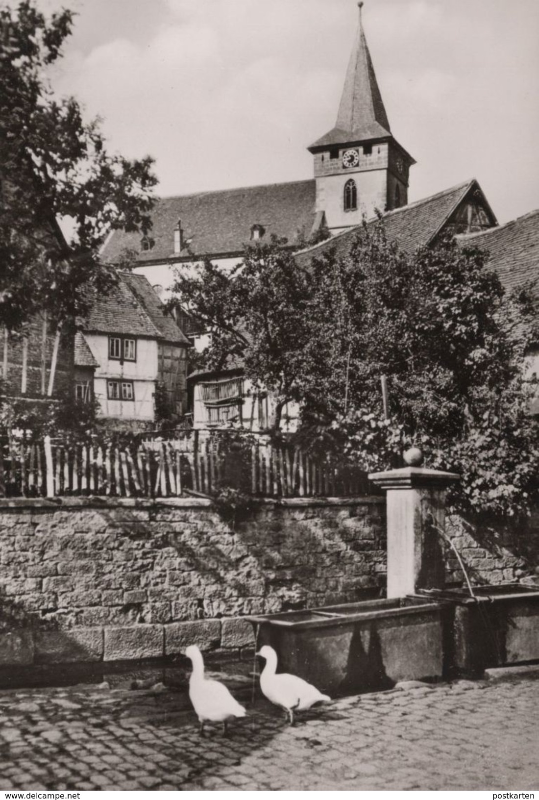 ÄLTERE POSTKARTE BAD KÖNIG IM ODENWALD GÄNSE AM BRUNNEN Fountain Fontaine Gans Goose L'oie Ansichtskarte Postcard Cpa AK - Bad König