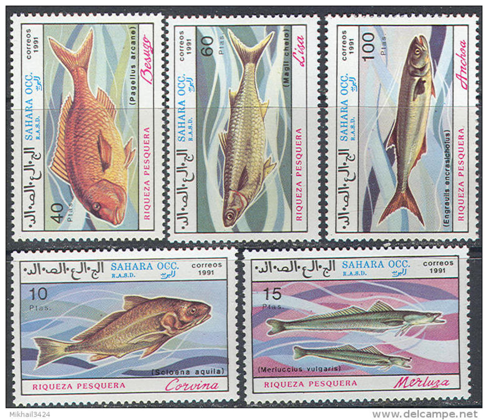 0869 Fauna Fishes Fish Marine Life 1991 Shr 5v Set MNH ** - Fishes