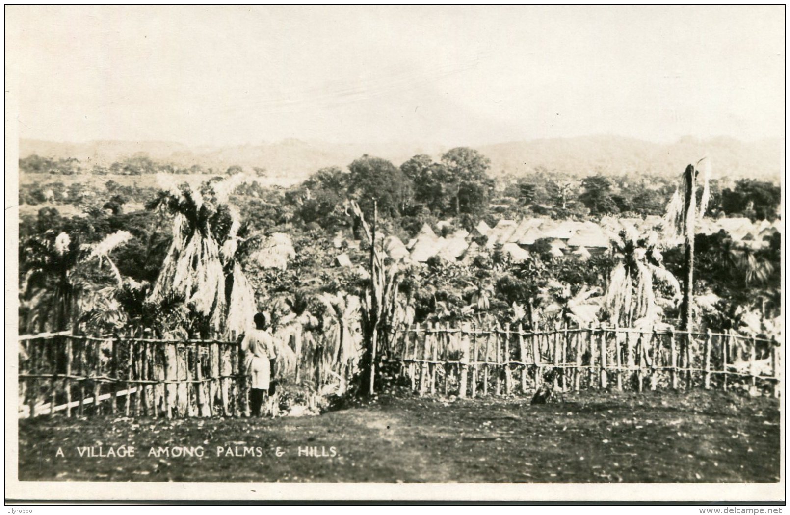 NIGERIA - RPPC - A Village Amongs Palms And Hills - Nigeria