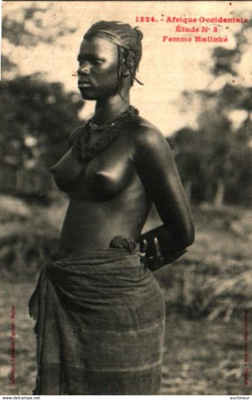 FORTIER 1324 Afrique Occidentale - Sénégal, étude N°3 Femme Malinké - Sénégal