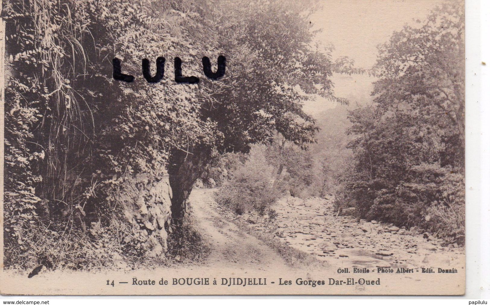 ALGERIE : Route De Bougie A Djidjelli Les Gorges Dar-El-Oued : édit. Dessin N° 14  Photo Albert Coll. Etoile - El-Oued